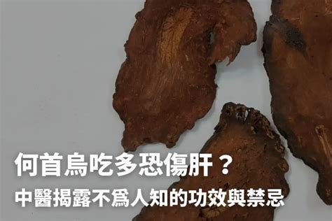 何首烏 什麼人不能吃|何首烏秋冬進補怎麼吃？醫列功效禁忌＋何首烏藥膳做法 :: 中藥處。